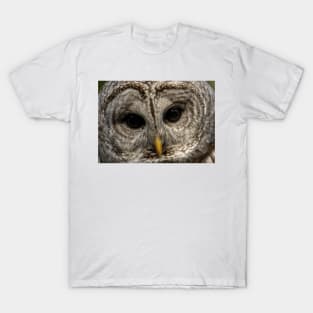 Windows Of The Soul T-Shirt